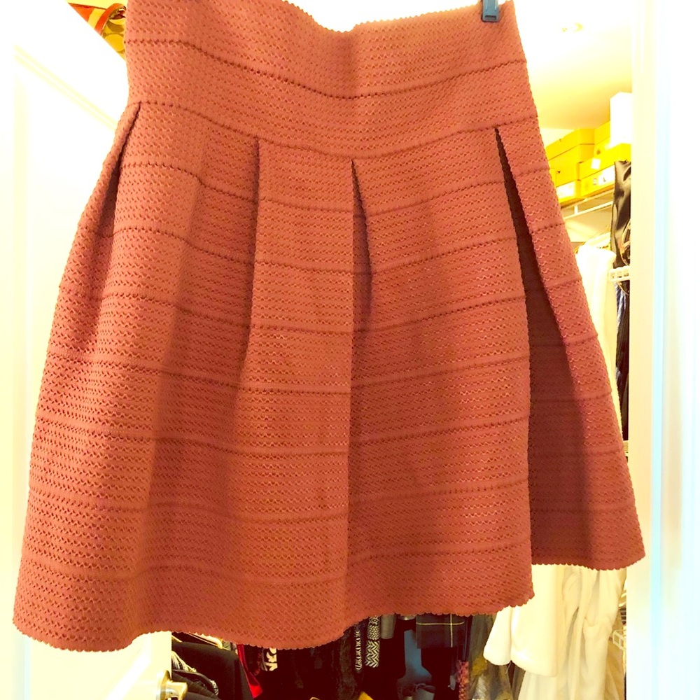 Adorable rust colored fit flare skirt